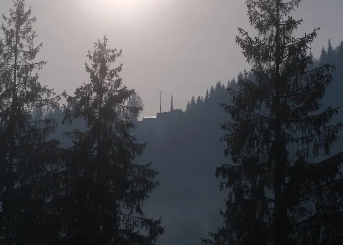 布克别墅酒店 度假村 布克维